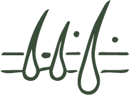 Dandruff & Scalp Health